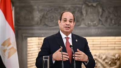 الرئيس السيسي: مصر متمسكة بتقوية الشراكة مع تنزانيا في كل المجالات| فيديو
