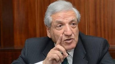 الفقي: الحكومة مكتظة بالموظفين والقطاع الخاص طوق النجاة للقضاء على البطالة 
