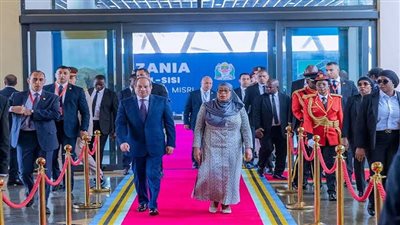 مشروعات ضخمة تربط مصر وتنزانيا..  إيمان شعراوي توضح التفاصيل| فيديو