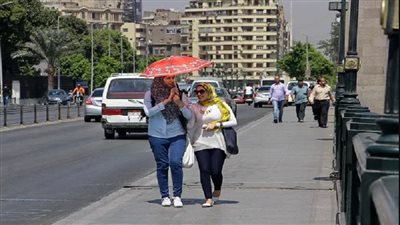 تصل لـ41 درجة.. منار غانم: موجة شديدة الحرارة تضرب مصر|فيديو