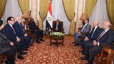 مصر تجدد دعمها للحقوق الفلسطينية وترفض تصفية القضية