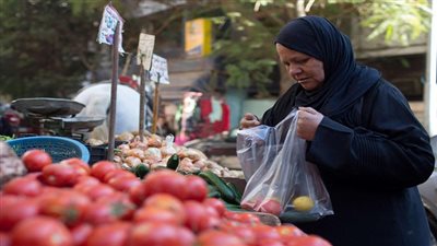 وليد جاب الله: زيادة الأجور يؤدي إلى انتعاش الأسواق والإقبال على شراء السلع