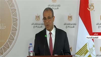 وزير الخارجية: مصر ستواصل دعم موزمبيق في مكافحة الإرهاب|فيديو