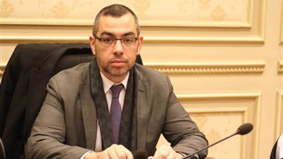 محمد فؤاد: نجاح الدعم النقدي مرهون بالتدرج وقياس أثره على المواطنين
