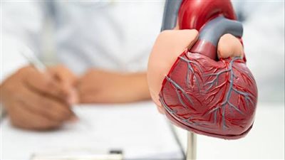 دراسة| النساء المصابات بمتلازمة التمثيل الغذائي أكثر عرضة للإصابة بأمراض القلب