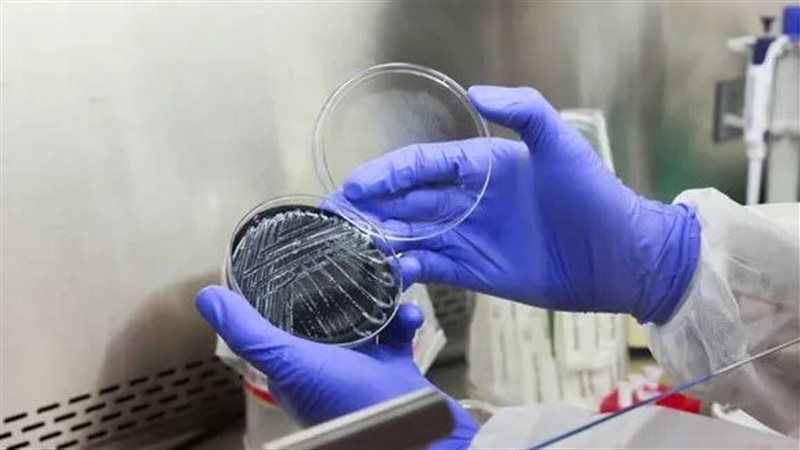 صورة موضوعية