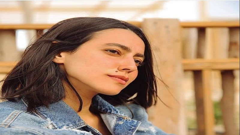 الفنانة هند عبد الحليم