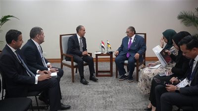 تعزيزًا للعلاقات المصرية البروناوية.. مباحثات حول الاستثمار والتعاون الاقتصادي
