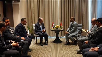  مصر وعُمان تتفقان على تعزيز التعاون ومواجهة تحديات أمن المنطقة