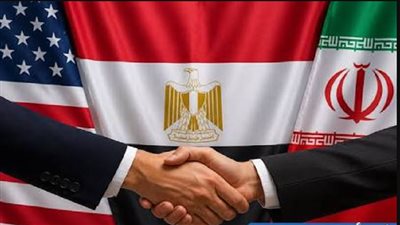 طارق فهمي: التحركات المصرية تقود جهود تهدئة أزمات الشرق الأوسط|فيديو