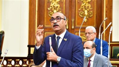 تعويضات للمستحقين.. برلماني يكشف تفاصيل صرف فوائد تأخير المعاشات|فيديو