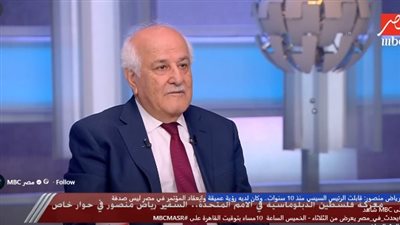 رياض منصور: إسرائيل تسعى لتأجيج الأوضاع في الضفة الغربية