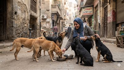 بعد الجدل.. الزراعة: سوء فهم بيان الوزارة وراء أزمة الكلاب الضالة|فيديو