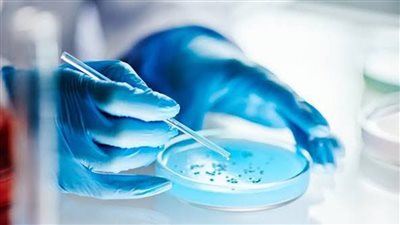  دراسة أمريكية.. العدوى الفطرية تمثل تهديدًا صحيًا خطيرًا