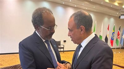 عبد العاطي يلتقي الرئيس الصومالي ويؤكد دعم مصر لوحدة الصومال