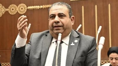 كلمة سر المرحلة القادمة.. نائب بالشيوخ: الصناعة طوق النجاة للاقتصاد|فيديو