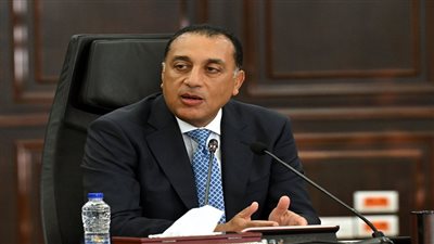 مدبولي: توجيهات الرئيس السيسي تضع المصريين بالخارج على رأس الأولويات|فيديو