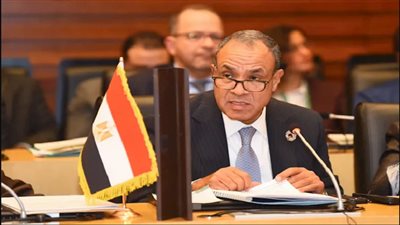 وزير الخارجية: بيت الوطن يعود بمراحل جديدة وتسهيلات أكبر للمغتربين|فيديو