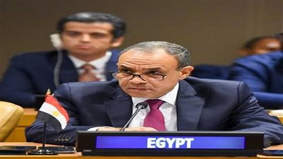 وزير الخارجية: رفض قاطع لضم الضفة الغربية وتهجير الفلسطينيين|فيديو