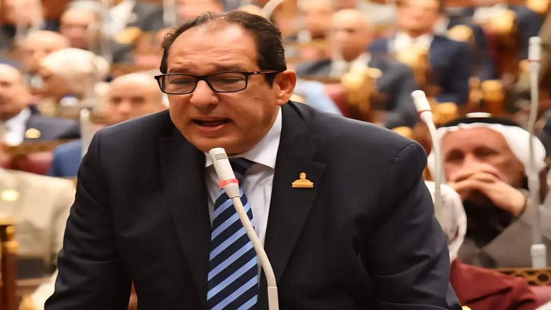 النائب حسام الخولي