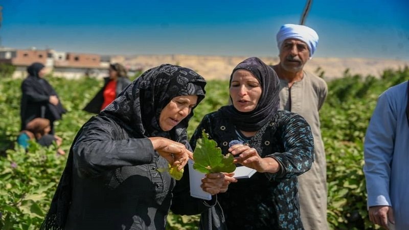 تمكين المجتمعات الريفية
