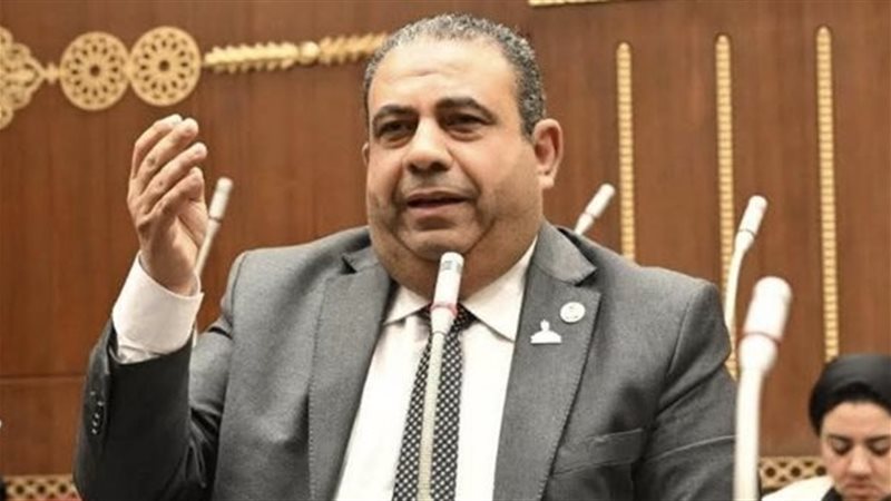  النائب أيمن الصفتي