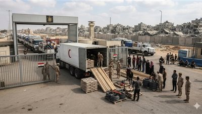 صلاح عبد العاطي: التحرك المصري ينقل ملف غزة إلى مرحلة التنفيذ|فيديو
