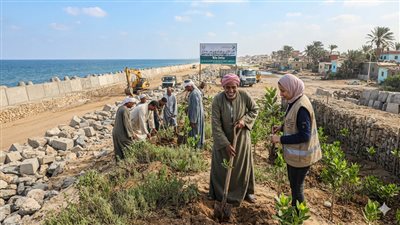 مدير مشروع التكيف: خرائط مخاطر البحر حتى 2100 تدعم حماية السواحل|فيديو