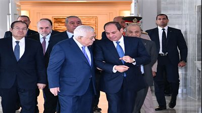 خبير: حل القضية الفلسطينية مفتاح استقرار المنطقة بالكامل|فيديو