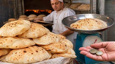 قرار رسمي.. التموين: سعر الرغيف السياحي من 1 إلى 2 جنيه حسب الوزن|فيديو