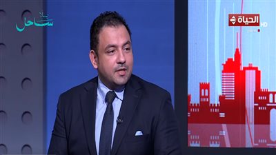 رامي عاشور: البيان المصري القطري التركي يواجه الانتهاكات الإسرائيلية بقوة