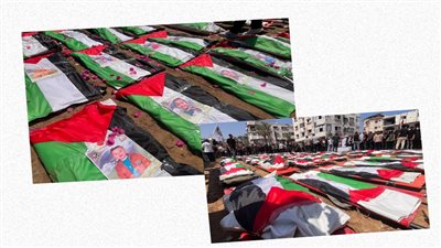 طوق النجاة.. سلامة: توحيد الموقف العربي أقوى سلاح لدعم غزة|فيديو