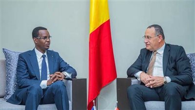 مصر وتشاد تبحثان تطوير التعاون الثقافي وإنشاء متحف وطني