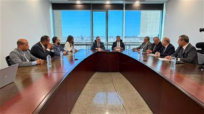 وزيرا التخطيط والزراعة يبحثان تطوير الريف المصري وتعظيم دور 