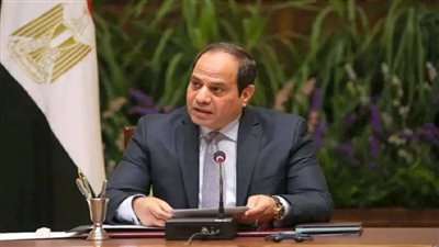 الرئيس السيسي يوجه بتشكيل لجنة لتفقد المشاريع العقارية ومراقبة الشواطئ|فيديو