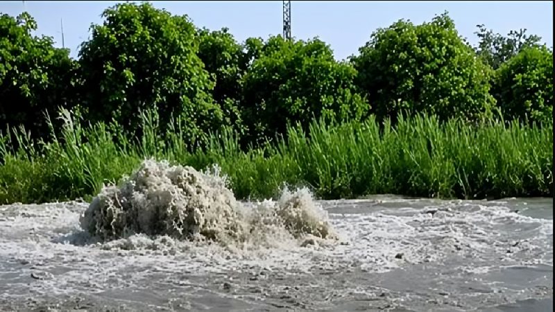 حادث ترعة أبو صرير