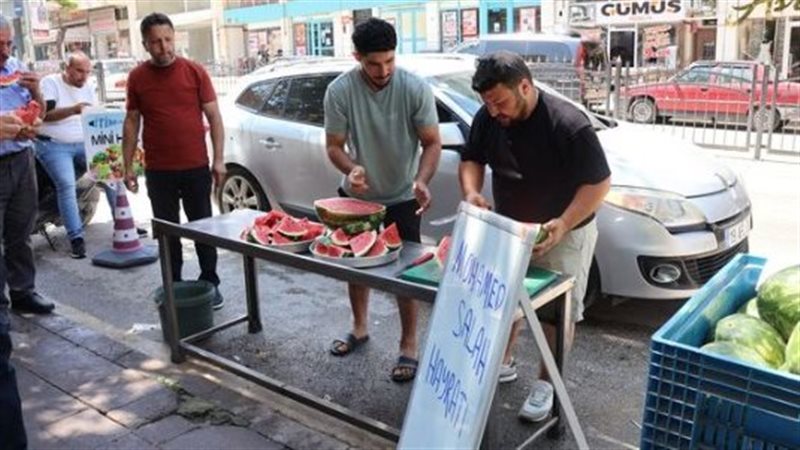 صورة موضوعية
