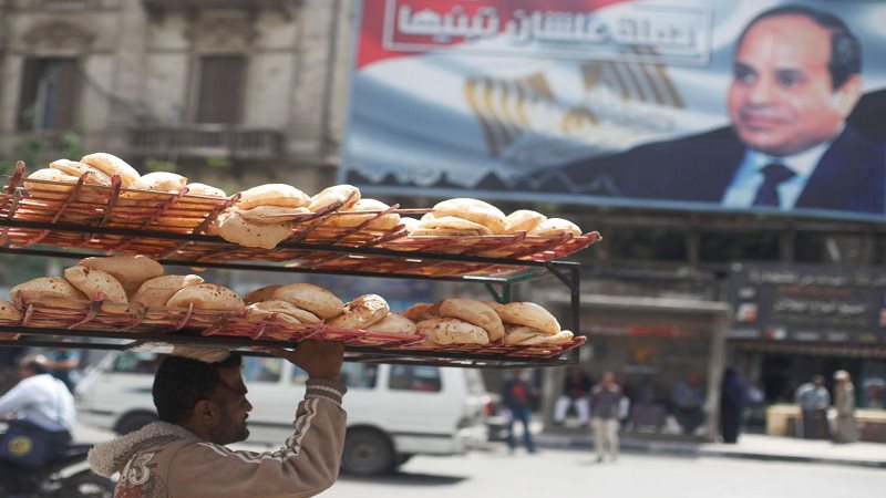 القمح ورغيف العيش