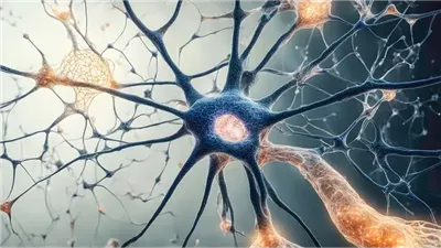 اختراق علمي..مركب في الأمعاء يسرع التدهور المعرفي ويمهد لعلاجات جديدة للزهايمر