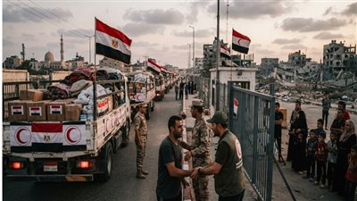 صلاح عبد العاطي يكشف: مصر السند الحقيقي لأهالي غزة|فيديو