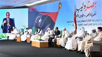 طارق العكاري: خط الرئيس السيسي الأحمر منع انهيار ليبيا بالكامل|فيديو