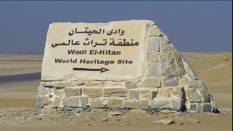 وادي الحيتان