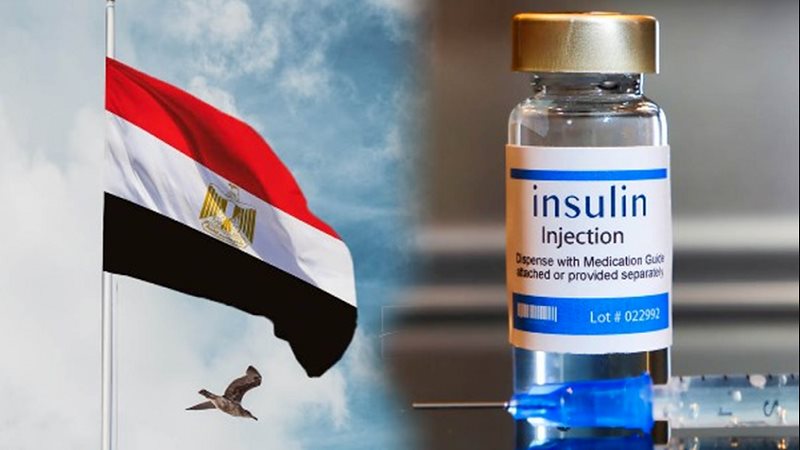 الأنسولين في مصر