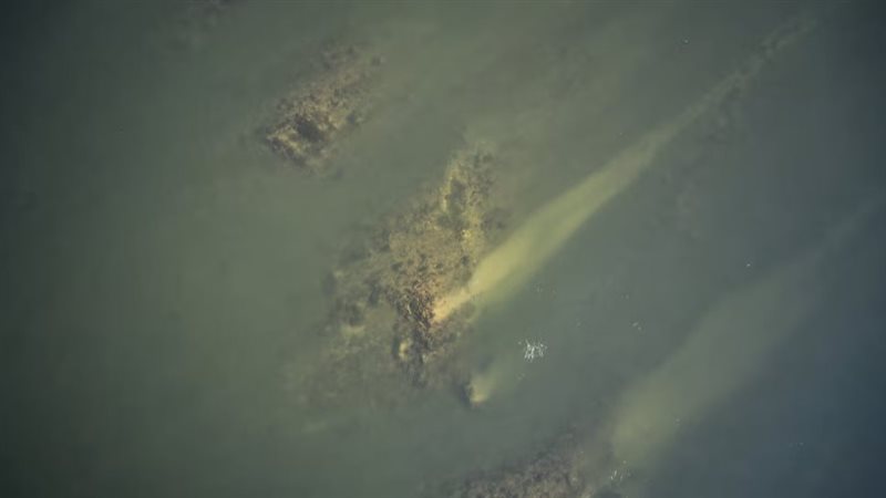 صورة موضوعية
