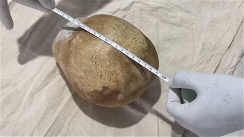 صورة موضوعية