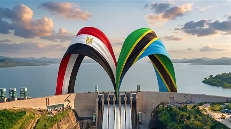 مصر وجوليوس نيريري